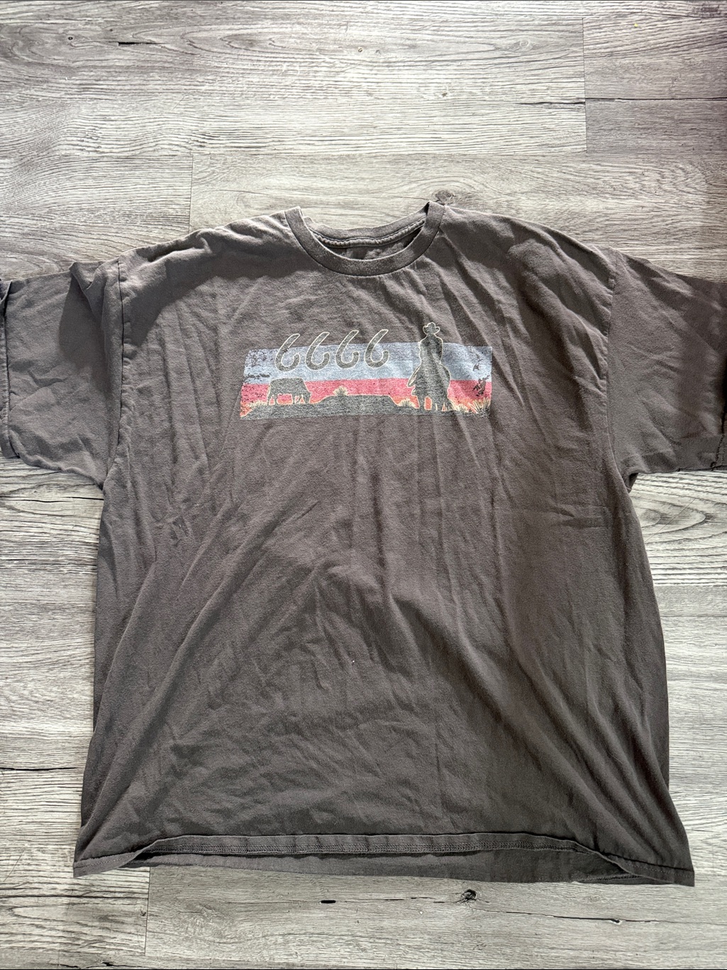 Hanes Grey Shortsleeve Graphic Tee With Sunset Silhouette
